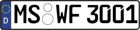 MS-WF3001