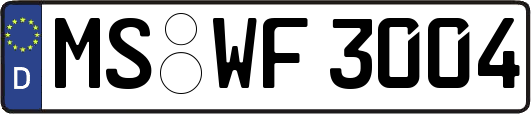 MS-WF3004