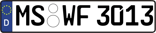 MS-WF3013