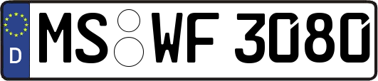 MS-WF3080