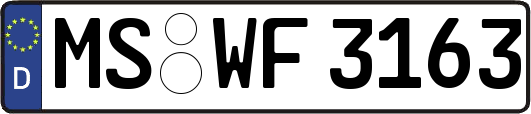 MS-WF3163