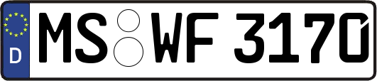 MS-WF3170