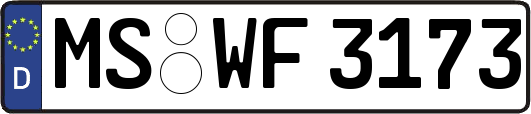 MS-WF3173