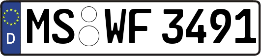 MS-WF3491