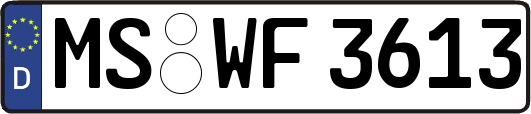 MS-WF3613