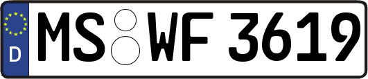 MS-WF3619