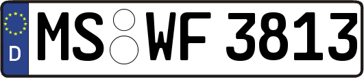 MS-WF3813