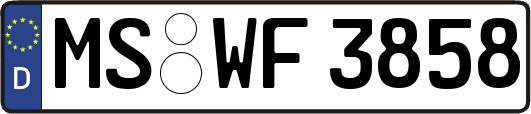 MS-WF3858