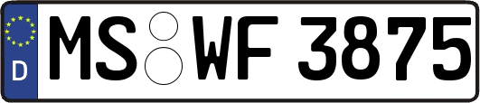 MS-WF3875