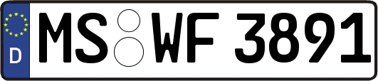 MS-WF3891