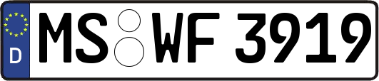 MS-WF3919
