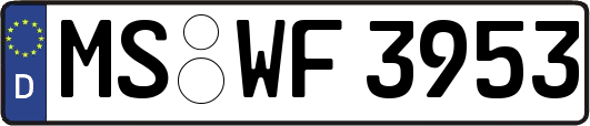 MS-WF3953