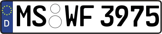 MS-WF3975