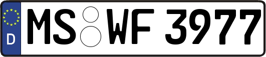 MS-WF3977