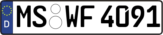 MS-WF4091