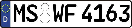 MS-WF4163