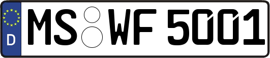 MS-WF5001