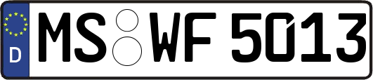MS-WF5013