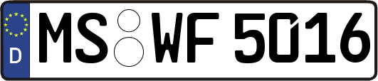 MS-WF5016
