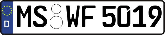 MS-WF5019