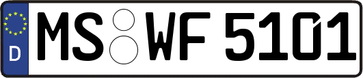 MS-WF5101