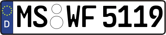 MS-WF5119