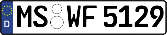 MS-WF5129