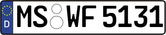 MS-WF5131