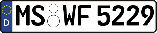MS-WF5229