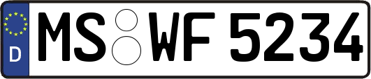 MS-WF5234