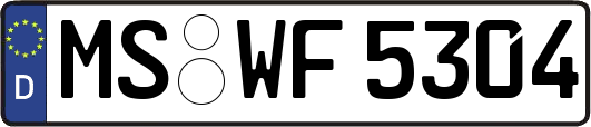 MS-WF5304
