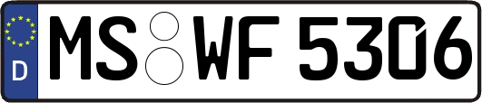 MS-WF5306