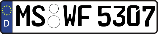 MS-WF5307