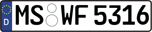 MS-WF5316