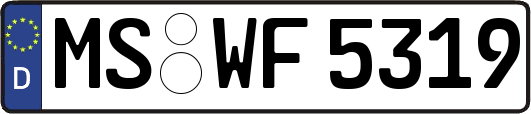 MS-WF5319