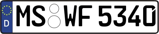 MS-WF5340