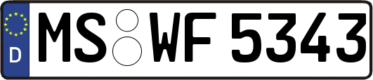 MS-WF5343
