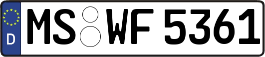 MS-WF5361