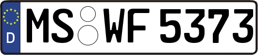 MS-WF5373
