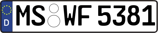 MS-WF5381