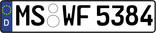 MS-WF5384