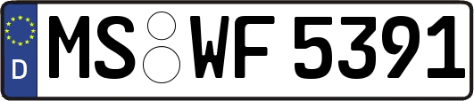 MS-WF5391