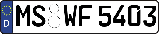 MS-WF5403