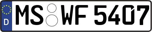 MS-WF5407