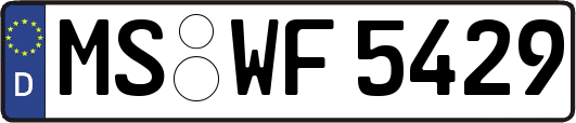 MS-WF5429