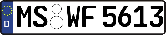 MS-WF5613