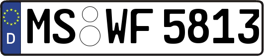 MS-WF5813