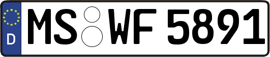 MS-WF5891