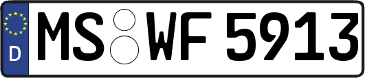 MS-WF5913