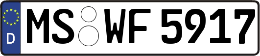 MS-WF5917
